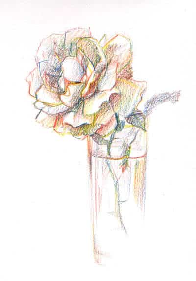 зарисовки карандашом роза